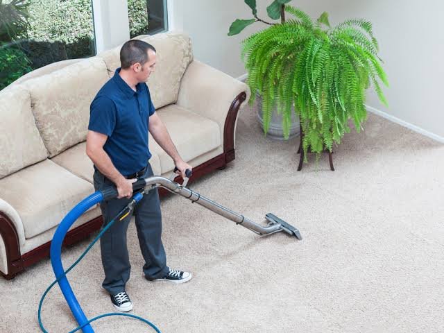 Carpet Cleaner Foam: Complete Guide to Choosing and Using Foam Carpet Cleaners